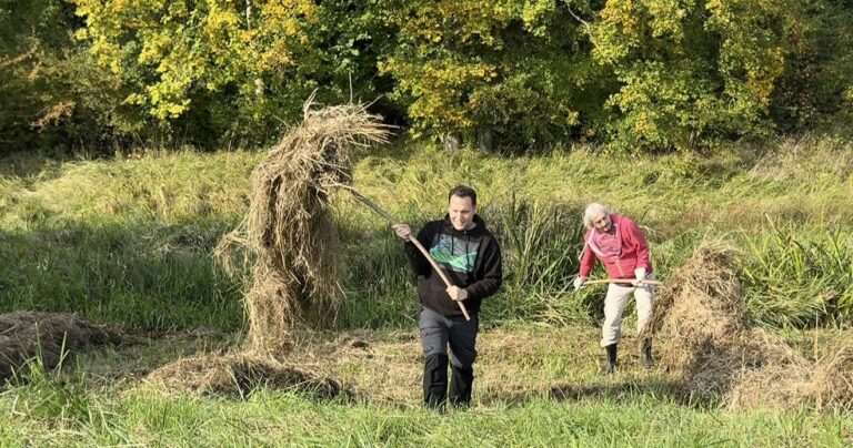 Engagement für Naturschutz vor Ort: Biotop-Pflege mit BUND Rheinstetten
